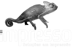 carrossel-2